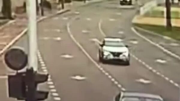 #viral | አስደንጋጭ የመንገድ አደጋ፦ ግዙፍ ዛፍ በፍጥነት ላይ ካለ መኪና ፊት ለፊት በድንገት ተገንድሶ ተሽከርካሪውን ገለበጠ - Sputnik አፍሪካ