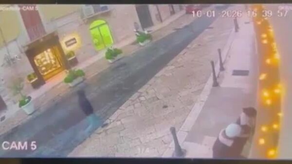 #viral | በጣሊያን በኃይለኛ ንፋስ ሳቢያ የተገነደሰ የዘንባባ ዛፍ በሚንቀሳቀስ መኪና ላይ ወደቀ - Sputnik አፍሪካ