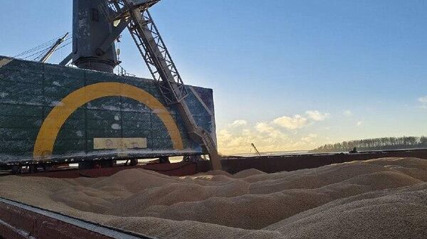 በሰሜን ምዕራብ ሩሲያ ከሚገኘው የቪሶትስክ ወደብ 44 ሺህ ቶን ስንዴ ለመጀመሪያ ጊዜ ወደ ኬንያ ተላከ - Sputnik አፍሪካ