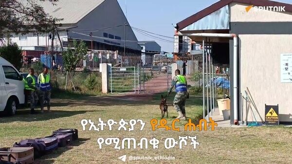 ይመልከቱ | ሕገወጥ ዝውውርን ለመግታት የተሰማሩ የኢትዮጵያ አነፍናፊ ውሾች - Sputnik አፍሪካ