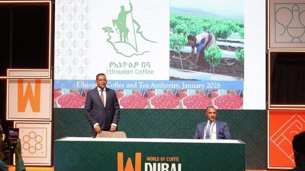 ቡና ከኢትዮጵያ ቢጠፋ ከዓለምም ይጠፋል - የኢትዮጵያ ቡና ማኅበር - Sputnik አፍሪካ