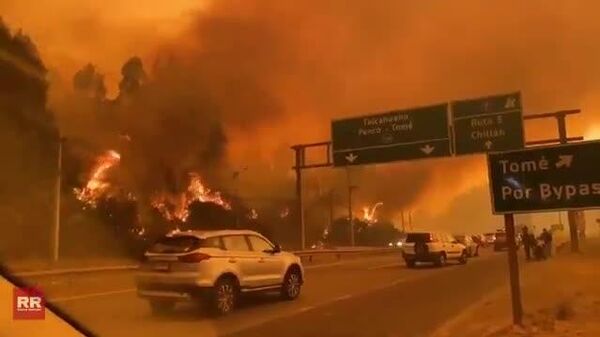 #viral | ቺሊ በከባድ የሰደድ እሳት ነደደች - Sputnik አፍሪካ