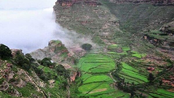 ኢትዮጵያ 33 - Sputnik አፍሪካ