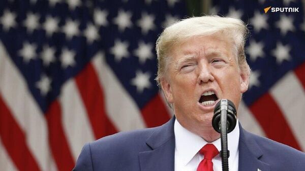 የካናዳ ጦር በአሜሪካ ሊፈፀም ለሚችል መላምታዊ ወረራ የሽምቅ ውጊያ ስልቶች ላይ እተዘጋጀ መሆኑ ተዘገበ - Sputnik አፍሪካ