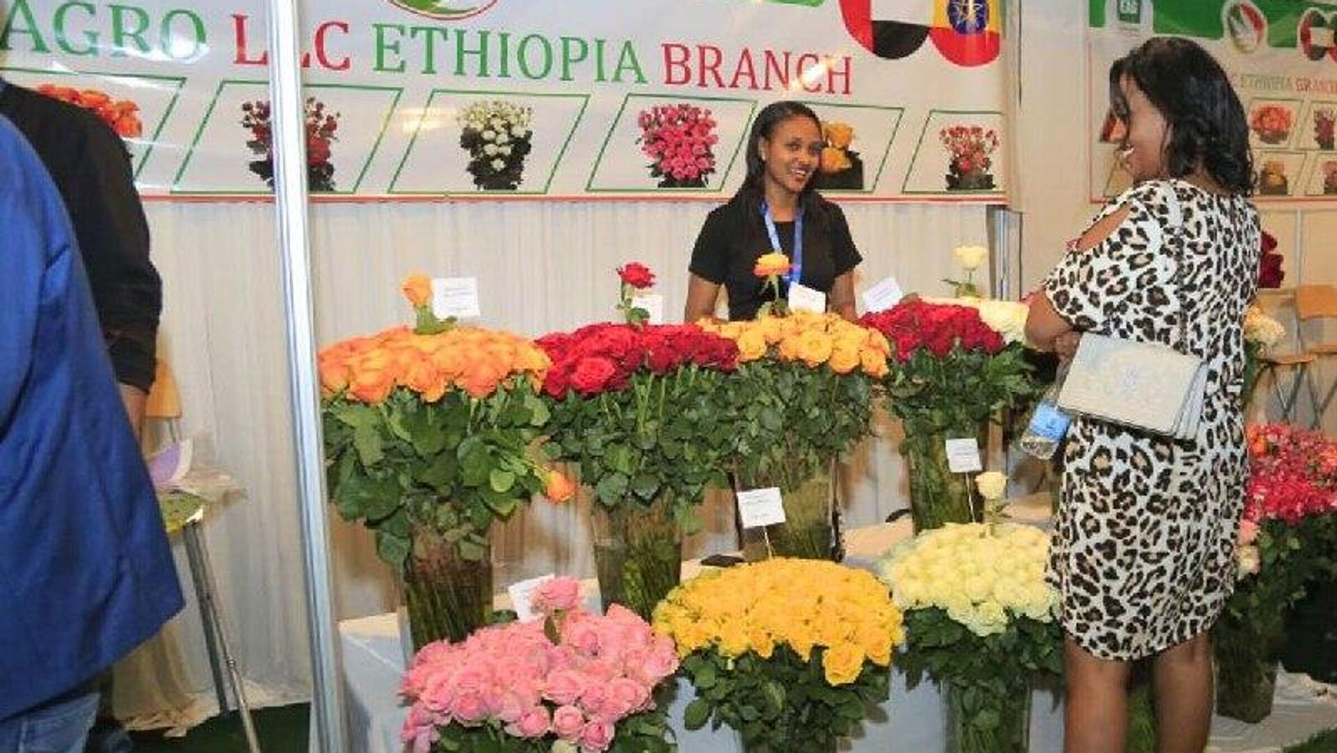 ተርስድ የኢትዮጵያን አበቦች በዓለም አቀፍ ደረጃ ለማስተዋወቅ የአንድ ዓመት የትብብር ሥራ መጀመሩን አስታወቀ ተርስድ የኢትዮጵያን አበቦች በዓለም አቀፍ ደረጃ ለማስተዋወቅ የአንድ ዓመት የትብብር ሥራ መጀመሩን አስታወቀ - Sputnik አፍሪካ, 1920, 23.01.2026