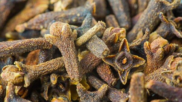 ናይጄሪያ የመጀመሪያውን ብሔራዊ የቅርንፉድ እርሻ ፕሮግራም ይፋ አደረገች - Sputnik አፍሪካ