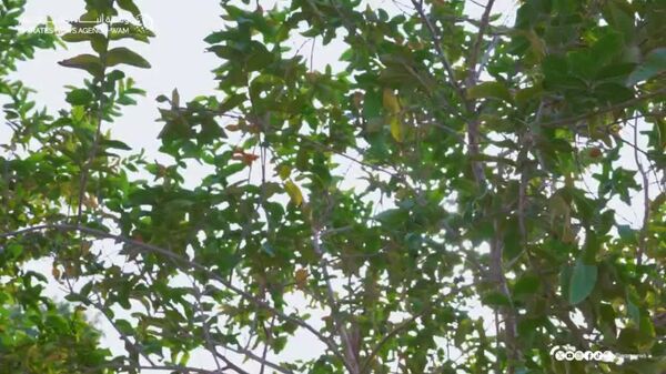 የተባበሩት አረብ ኤምሬቶች ፕሬዚዳንት የፑቲንን ልዩ መልዕክተኛ ተቀብለው አነጋገሩ - Sputnik አፍሪካ