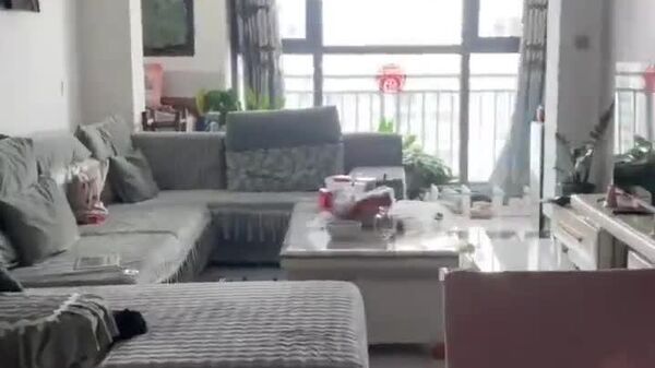 #viral | በሬክተር ስኬል 5 - Sputnik አፍሪካ