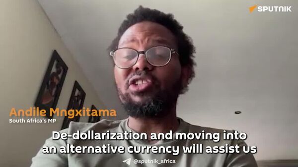 የብሪክስ ዲጂታል ገንዘቦች የአሜሪካን የፋይናንስ የበላይነት በመስበር አፍሪካን ያጠናክራሉ - የደቡብ አፍሪካ የፓርላማ አባል - Sputnik አፍሪካ