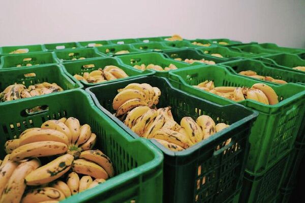 በአዲስ አበባ ዘመናዊ የአትክልትና ፍራፍሬ፣ የእንስሳት ተዋጽኦ ማቀዝቀዣ መጋዘንና ሁለገብ ሕንጻ ተመረቀ - Sputnik አፍሪካ