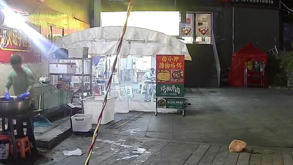 #viral | ደግነት መልሶ ሲከፍል – ቤት አልባዋን ድመት ለመመገብ የተንቀሳቀሰው ቻይናዊ እየወደቀ ከነበረ የአበባ ማስቀመጨ ተርፏል - Sputnik አፍሪካ