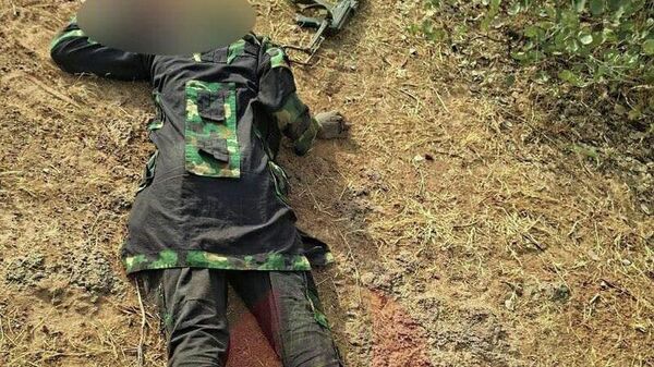 የናይጄሪያ ጦር በሌሊት በፈጸመው ጥቃት ከፍተኛ የቦኮ ሃራም አዛዥን እንዳስወገደ አስታወቀ - Sputnik አፍሪካ