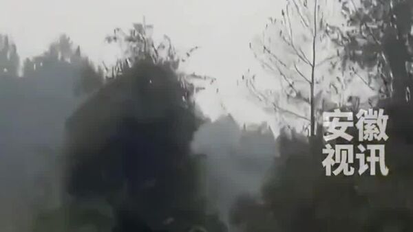 #viral | አሳማዎችን በድሮን ለማጓጓዝ ሲሞክር መንደሩን መብራት አልባ ያደረገው ገበሬ ከፍተኛ መነጋገሪያ ሆኗል - Sputnik አፍሪካ