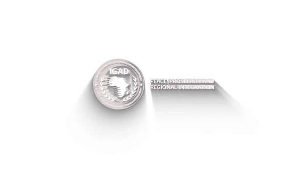 ሱዳን ከሁለት ዓመት በኋላ ወደ ኢጋድ አባልነቷ በይፋ ተመለሰች - Sputnik አፍሪካ