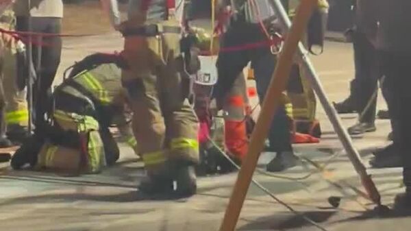 #viral |በፍሎሪዳ የነፍስ አድን ሠራተኞች የፍሳሽ ማስወገጃ ቱቦ ውስጥ የተቀረቀረውን ማናቲ (የባሕር ላም) ክሬን ተጠቅመው አዳኑ - Sputnik አፍሪካ