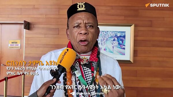 አኅጉራዊ የገንዘብ ድርጅት እና ማዕከላዊ ባንክ ሊኖረን ይገባል - የፓን አፍሪካ የባሕል ባለሥልጣናት ምክር ቤት ዋና ፀኃፊ - Sputnik አፍሪካ