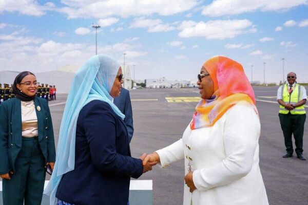 የአፍሪካ ሀገራት መሪዎች በ39ኛው የአፍሪካ ኅብረት የመሪዎች ጉባዔ ላይ ለመሳተፍ አዲስ አበባ መግባት ጀመሩ - Sputnik አፍሪካ