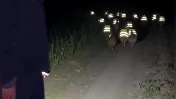 #viral | ደህንነት ይቀድማል - በእርሻ ቦታም ቢሆን - Sputnik አፍሪካ