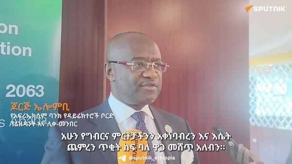 የአፍሪካን የወጪ ንግድ ጥሬ ዕቃ ከመሸጥ ማላቀቅ አለብን - የአፍሪኤክሲም ባንክ የዳይሬክተሮች ቦርድ ፕሬዝዳንት እና ሊቀ-መንበር - Sputnik አፍሪካ