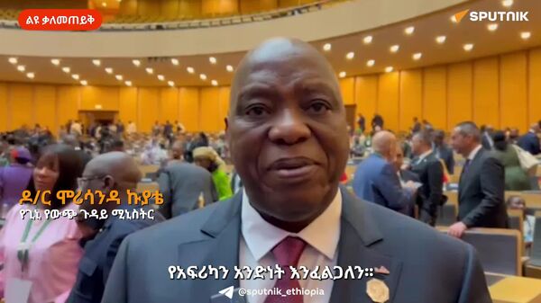 አፍሪካን አንድ ማድረግ የሚጠይቀው የፖለቲካ ቁርጠኝነት ብቻ ነው - የጊኒ የውጭ ጉዳይ ሚኒስትር - Sputnik አፍሪካ