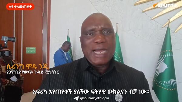 በዓለም አቀፍ ተቋማት ውስጥ የአፍሪካ ውክልና ሊረጋገጥ ይገባል - የጋምቢያ የውጭ ጉዳይ ሚኒስትር - Sputnik አፍሪካ