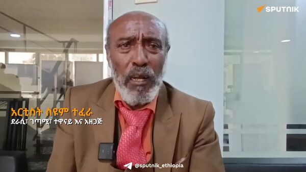 አፋችንን ያሟሸነው በበሰሉ የሩሲያ መጻሕፍት ነው - አርቲስት ስዩም ተፈራ - Sputnik አፍሪካ