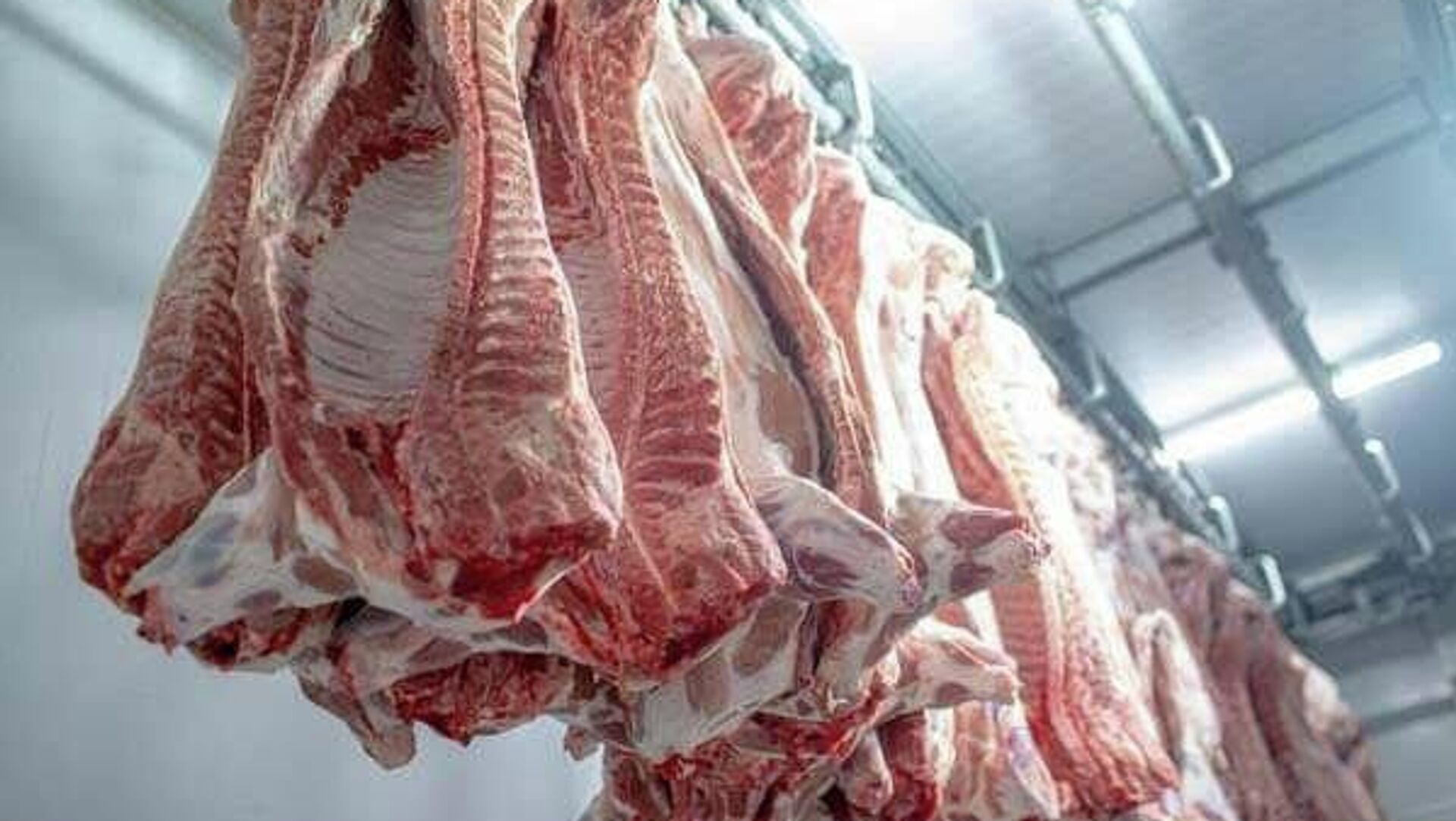 ኢትዮጵያ ከሥጋ የወጪ ንግድ በስድስት ወራት ውስጥ 61 ኢትዮጵያ ከሥጋ የወጪ ንግድ በስድስት ወራት ውስጥ 61 - Sputnik አፍሪካ, 1920, 20.02.2026