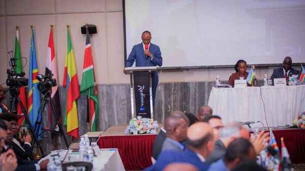 የናይል ተፋሰስ ከፍተኛ የመስኖ ልማት አቅም የምግብ ሉዓላዊነትን እውን ለማድረግ ወሳኝ ነው - የውሃ እና ኢነርጂ ሚኒስትር - Sputnik አፍሪካ