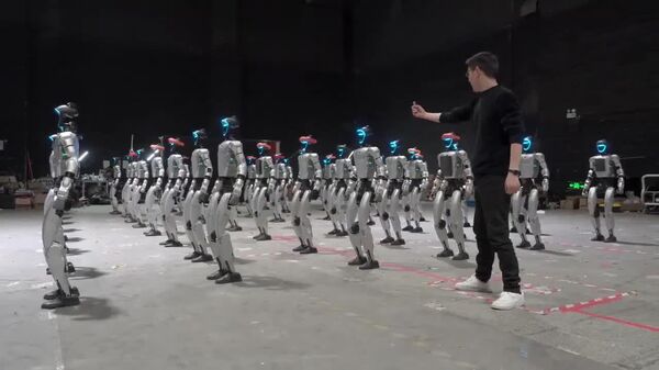 #viral | አምሳለ-ሰው ሮቦቶች በአሁኑ ወቅት በአሥር ዓመት ልጅ የዕድገት ደረጃ ላይ ይገኛሉ፦ አልሚው - Sputnik አፍሪካ