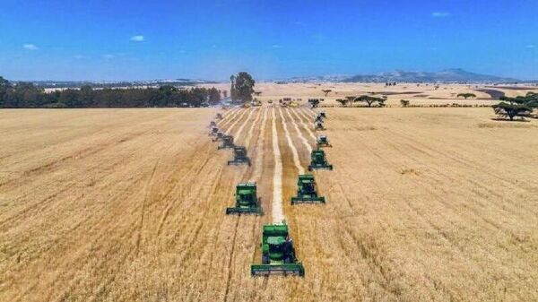 የአፍሪካ ኅብረት ኮሚሽን የኢትዮጵያን የስንዴ ምርት ስኬት ታሪካዊ ምዕራፍ ሲል አወደሰ - Sputnik አፍሪካ