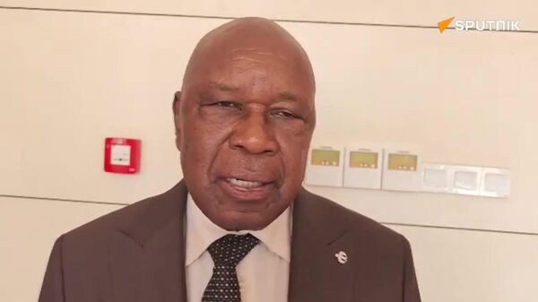 የአሜሪካ ጤናን በማዕድን የሚለውጠው ስምምነት ዚምባብዌን ዝቅ የሚያደርግ ነው - ፖለቲከኛ - Sputnik አፍሪካ