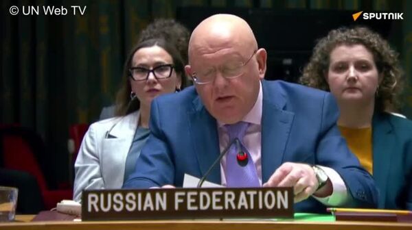 አሜሪካ እና እስራኤል በኢራን ላይ የፈጸሙት ጥቃት ከቀጣናው ድንበሮች ባሻገር ሊያካልል የሚችል ስጋት አለው - ኔቤንዚያ - Sputnik አፍሪካ