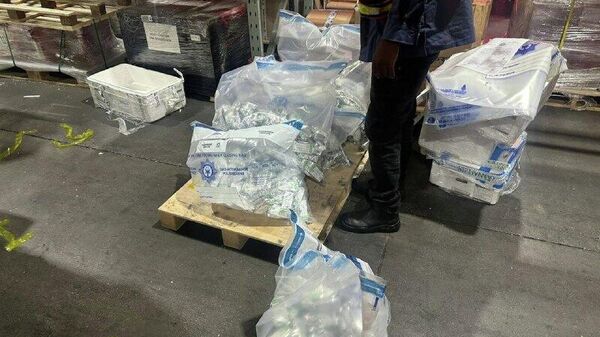 የደቡብ አፍሪካ ፖሊስ 169 ሺህ ዶላር የሚያወጣ የዕፅ ዝውውር አከሸፈ - ዘገባዎች - Sputnik አፍሪካ