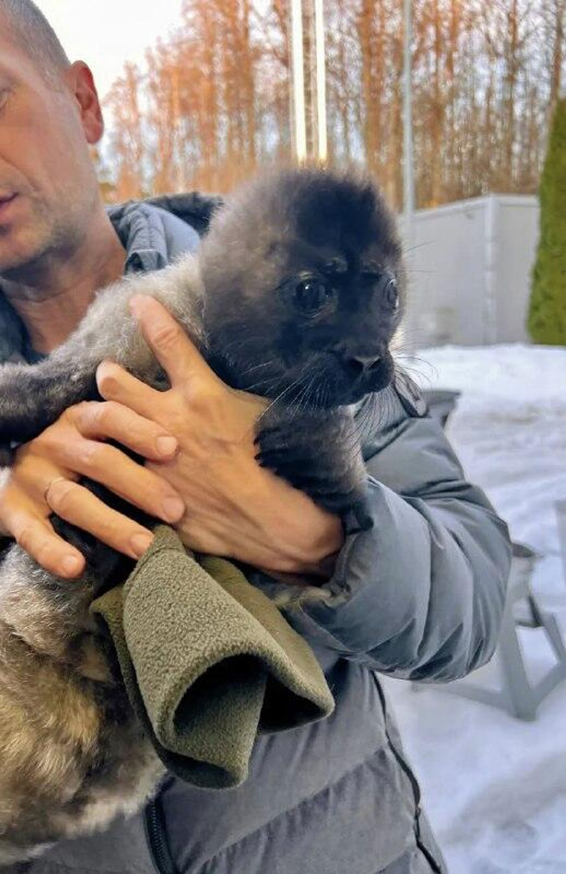 #viral | በሩሲያ የባሕር ውሻ ግልገል ከአሞራዎች ተረፈ - Sputnik አፍሪካ, 1920, 09.03.2026