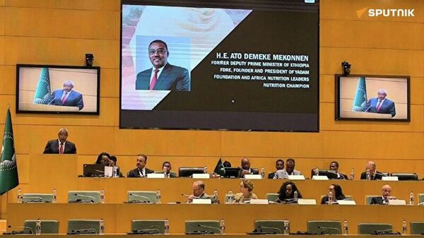 አፍሪካ ረሃብን ለማስወገድ ከራዕይ ወደ ተግባር መሸጋገር አለባት — የቀድሞ የኢትዮጵያ ምክትል ጠቅላይ ሚኒስትር ደመቀ መኮንን - Sputnik አፍሪካ
