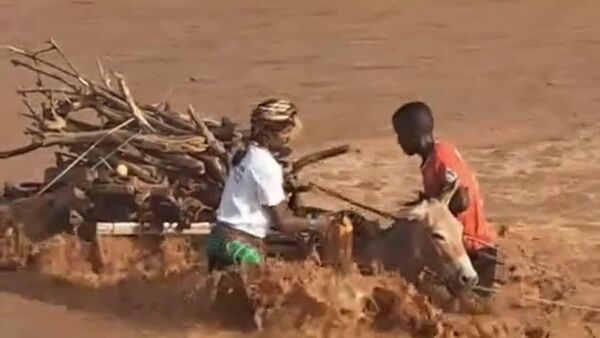 #Viral | ትረፊ ያላት ነፍስ፦ በአስደናቂ ሁኔታ ደራሽ የወንዝ ሙላትን ድል ያደረገ አህያ - Sputnik አፍሪካ