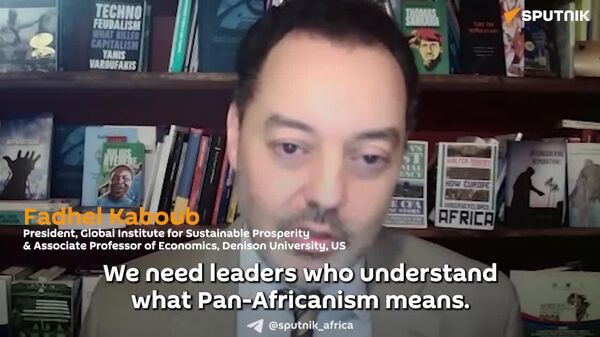 የአፍሪካ ሀገራት ትብብር ለአኅጉሪቱ የኢኮኖሚ ሉዓላዊነት ወሳኝ ነው - አሜሪካዊ ፕሮፌሰር - Sputnik አፍሪካ