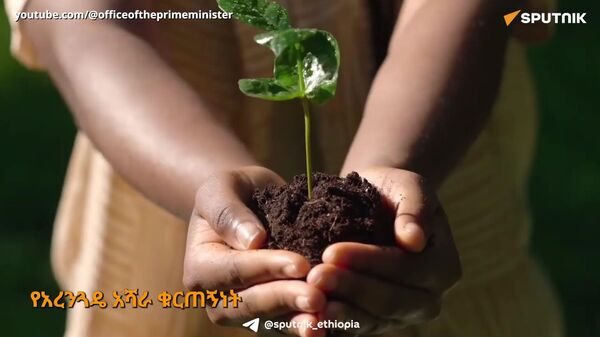 የአገሪቱ የደን ሽፋን - Sputnik አፍሪካ