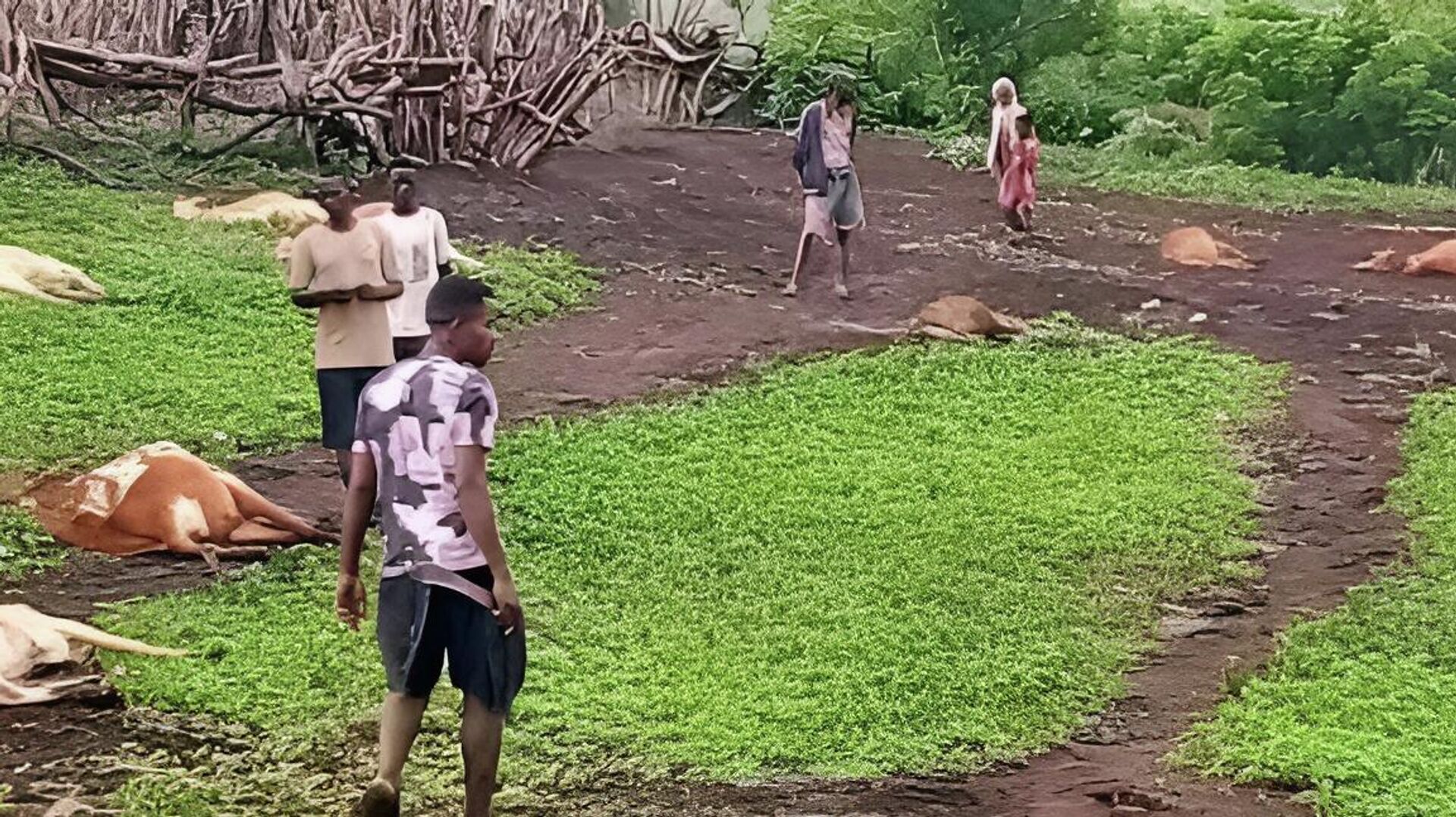 Gamo Zone Gamo Zone - Sputnik አፍሪካ, 1920, 21.03.2026