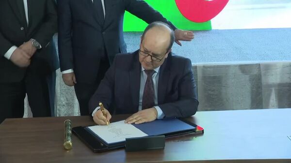 አልጄሪያ የዚንክ እና ሊድ ማዕድን ቁፋሮ ሥራ ጀመረች - Sputnik አፍሪካ