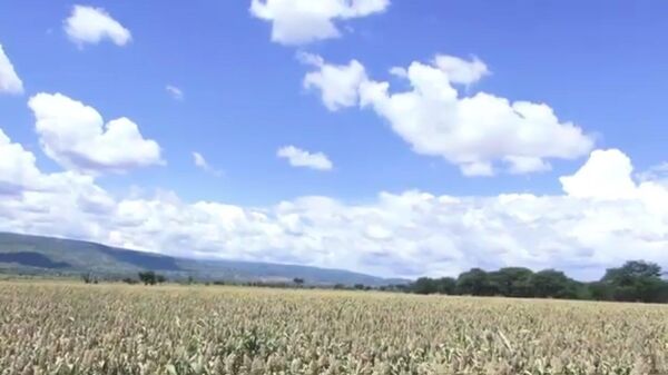  - Sputnik አፍሪካ