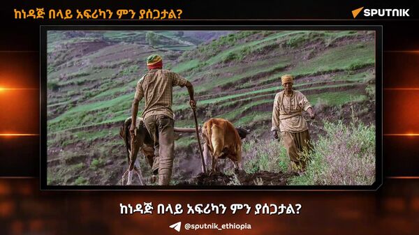 ከነዳጅ በላይ አፍሪካን ምን ያሰጋታል? - Sputnik አፍሪካ