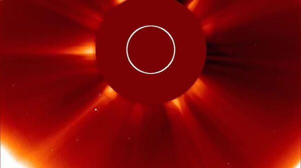 #Viral | የዓመቱ ደማቅ ተወርዋሪ ባለ ጅራት ኮከብ በፀሐይ ተዋጠ - Sputnik አፍሪካ