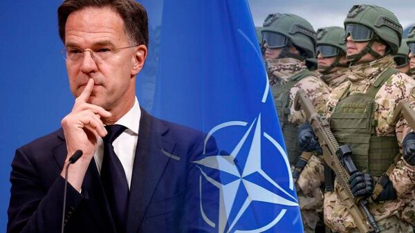  ኔቶ ወደ ተሽመደመደና እምነት ወደጎደለው ጥምረትነት ዝቅ ብሏል  - Sputnik አፍሪካ