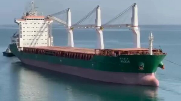 ኢትዮጵያ እስከ ጎርጎሮሳውያኑ 2030 ድረስ 16 አዳዲስ መርከቦችን የማሰማራት እቅዷን ይፋ አደረገች - Sputnik አፍሪካ