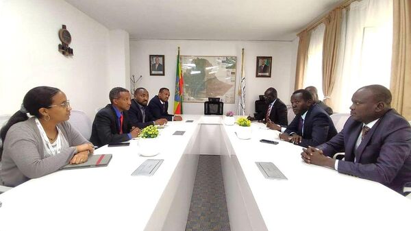 ኢትዮጵያ ለደቡብ ሱዳን ሲቪል አቪዬሽን ዘርፈ ብዙ ድጋፍ እንድታደርግ ተጠየቀች - Sputnik አፍሪካ