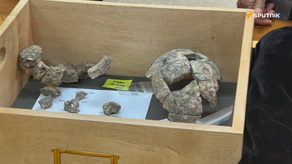 አፋር  - Sputnik አፍሪካ