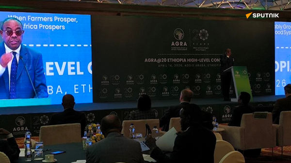  የአፍሪካ የግብርና ዘርፍ - Sputnik አፍሪካ