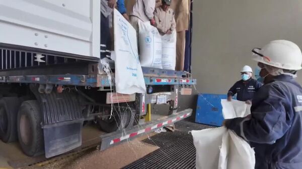 ሩሲያ ወደ ሱዳን የምትልከውን የስንዴ ምርት በሁለት እጥፍ በማሳደግ 1 - Sputnik አፍሪካ