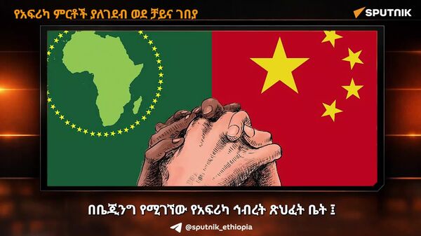 የአፍሪካ ምርቶች ያለገደብ ወደ ቻይና ገበያ፦ የቻይናው ከቀረጥ ነፃ ዕድል የትግበራ ምክክር - Sputnik አፍሪካ